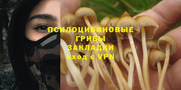 стаф Липки