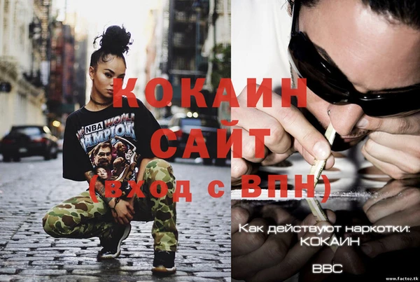стаф Липки