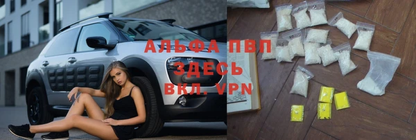 стаф Липки