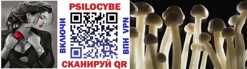 Галлюциногенные грибы мицелий  Оса 